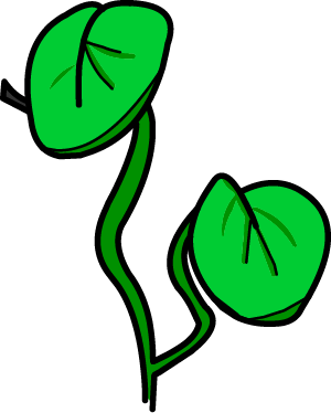 Illustrated Aquatic Plants