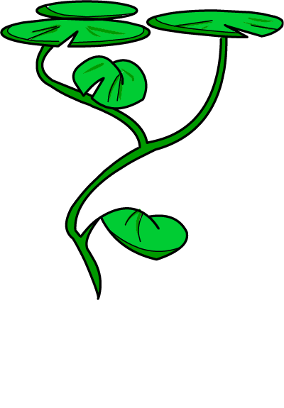 Illustration of lily pads