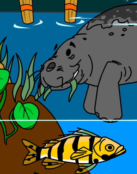 Illustration of a manatee eating glass