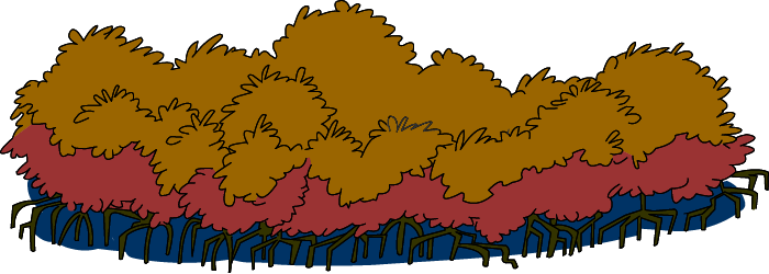 Illustration of Mangrove trees