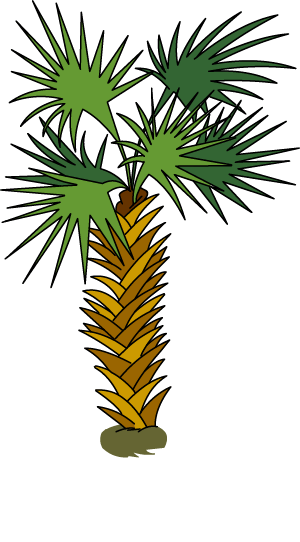 Illustration of a palm tree