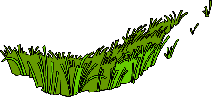 Illustration of Seagrasses