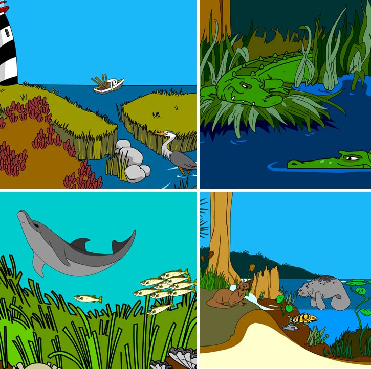 Illustration of producers in this habitat
