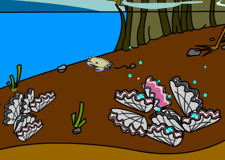 Illustration of oysters