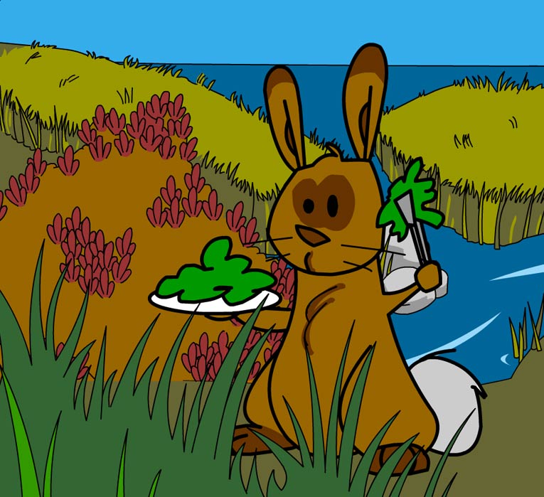Illustration of producers in this habitat