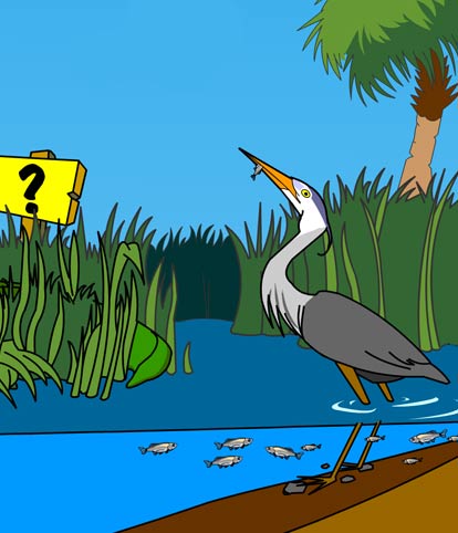 Illustration of a heron eating fish